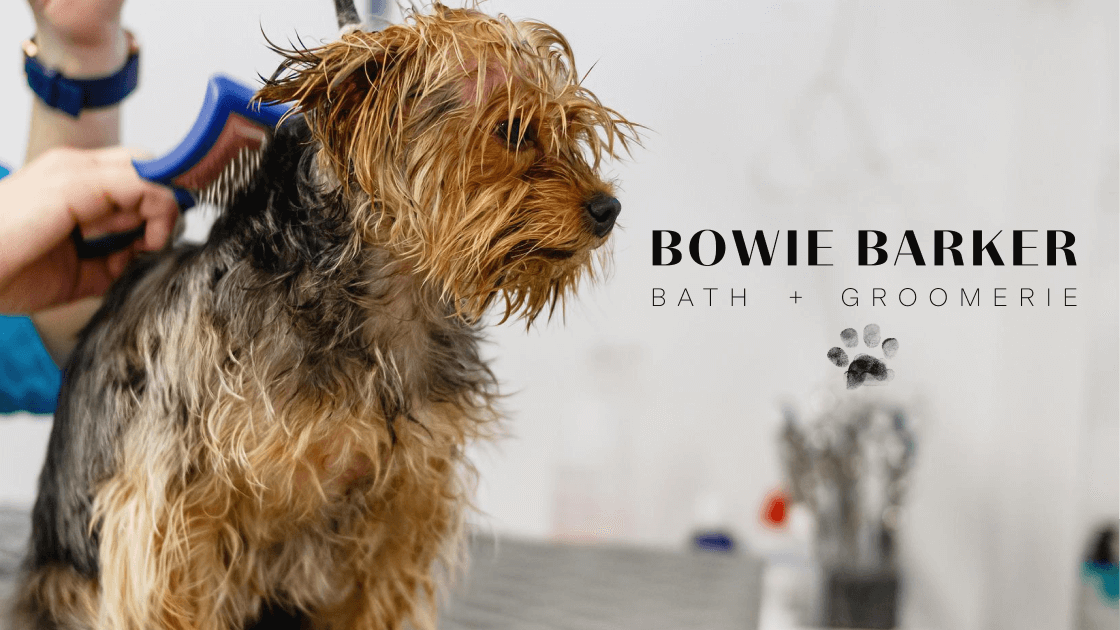 Bowie Barker South Loop