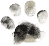 Paw Print Icon